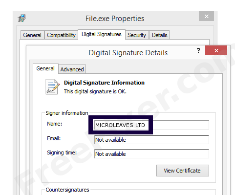 Screenshot of the MICROLEAVES LTD certificate